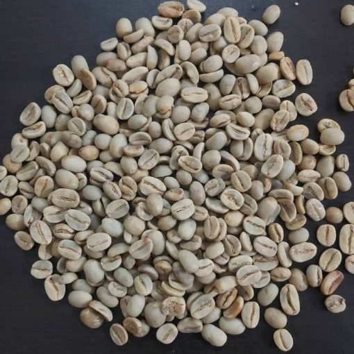 Wholesale Supplier of Indonesian Robusta Coffee Beans for the Global Market
