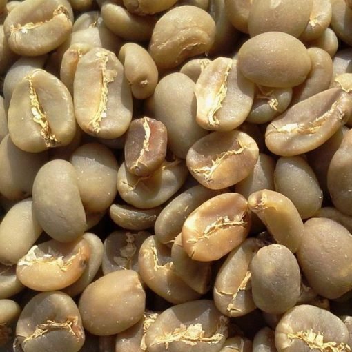 Wholesale Supplier of Indonesian Robusta Coffee Beans for the Global Market